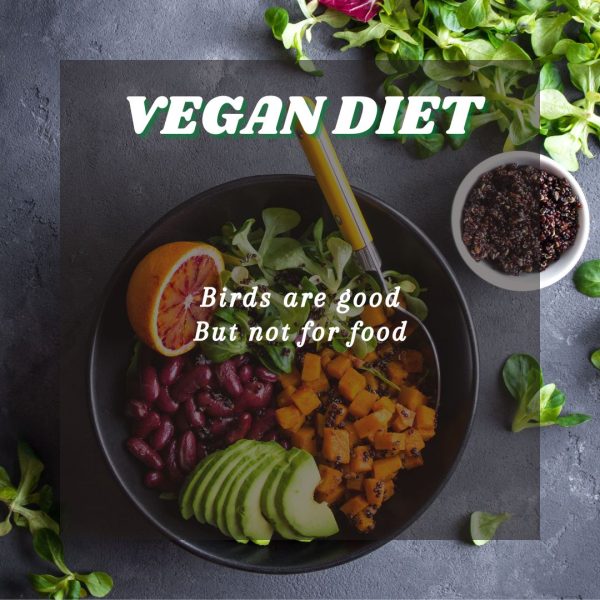 The Vegan Diet: Embrace a plant-based lifestyle that values animals, focusing on nutritious alternatives while promoting health and sustainability