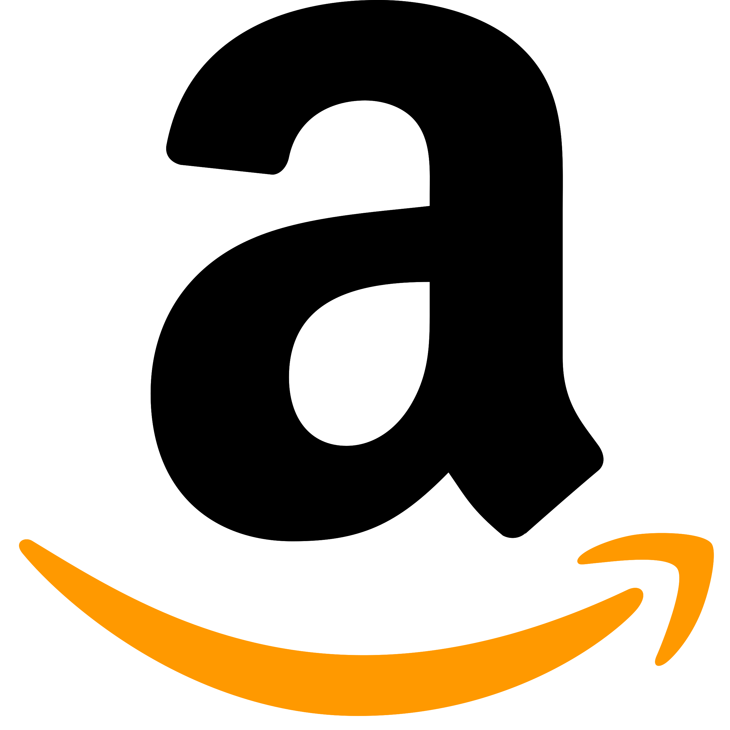 Amazon pic